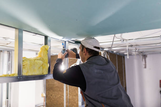 Best Specialized Insulation Services in Fetters Hot Springs Agua Liente, CA